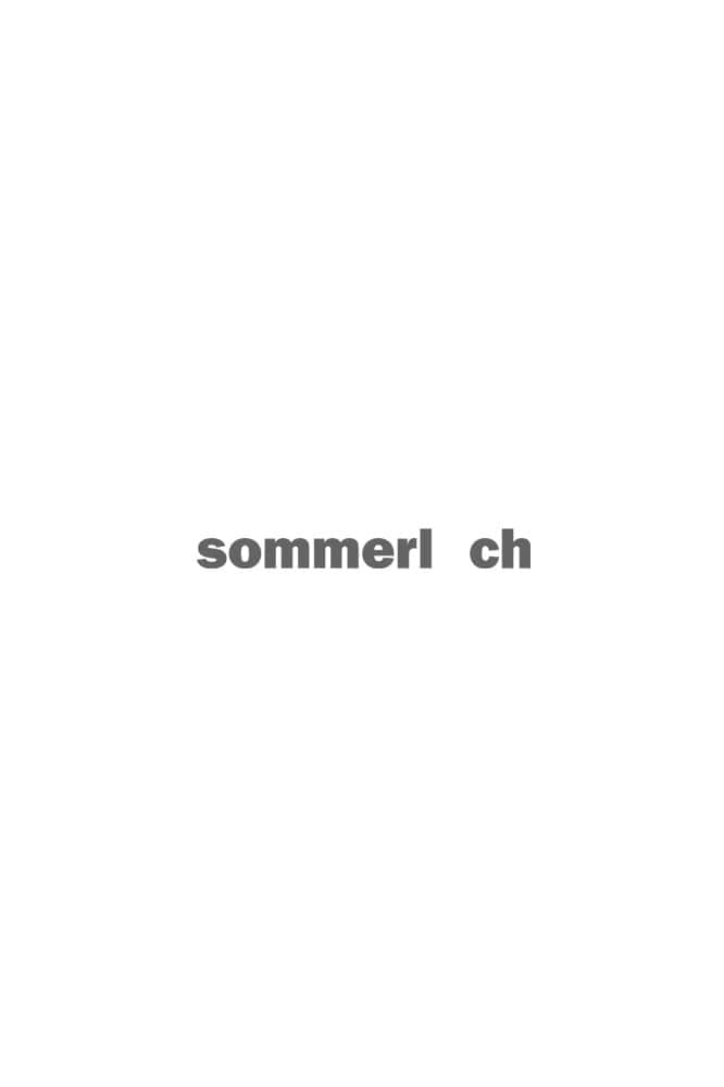 Gästehaus berge Apartment Sommerloch Logo